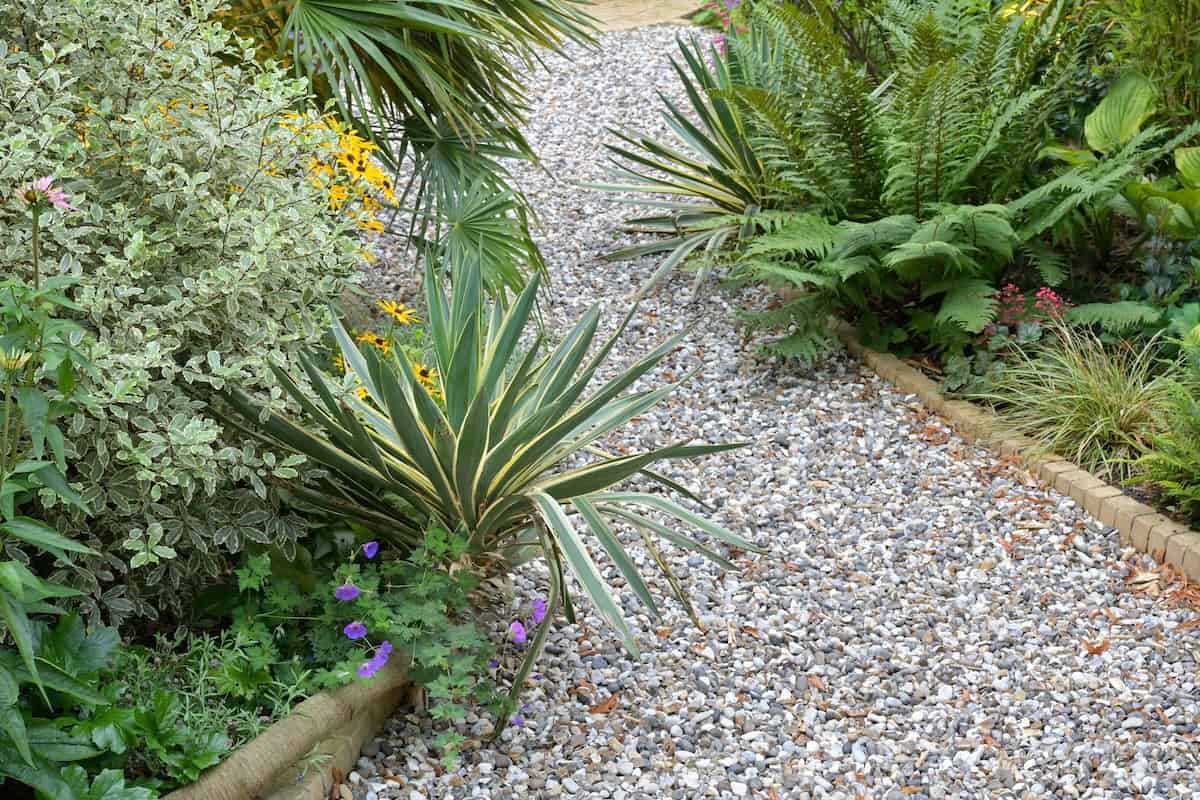 Curved Path Installation