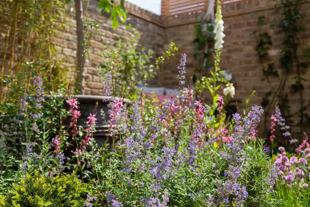 Soft Landscaping West Hampstead